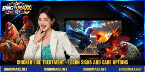 Chicken Lice Treatment - Learn Signs And Care Options