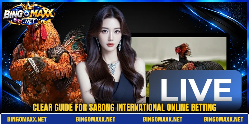 Clear guide for Sabong International online betting