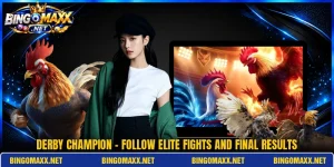 Derby Champion - Follow Elite Fights And Final Results