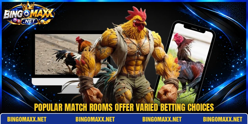 Popular match rooms offer varied betting choices Popular match rooms offer varied betting choices