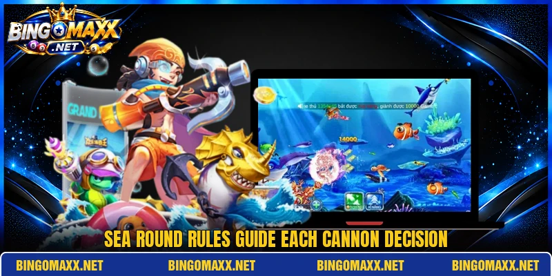 Sea round rules guide each cannon decision